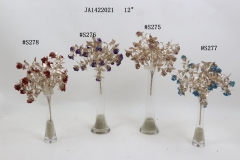 2021XAMS-JA1429<br />
Col: