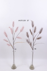 2021XAMS-JA1534<br />
Col: