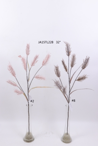 2021XAMS-JA1534