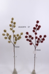 2021XAMS-JA1453<br />
Col: