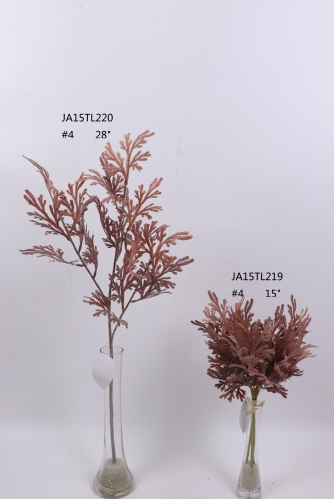 2021XAMS-JA1510