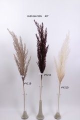 2021XAMS-JA3111<br />
Col: