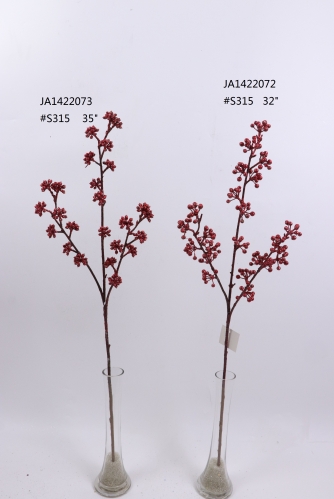 2021XAMS-JA1447