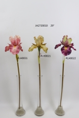 2021XAMS-JA2707<br />
Col: