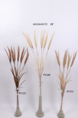 2021XAMS-JA3103<br />
Col: