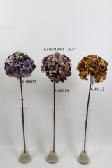 2021XAMS-JA2712<br />
Col: