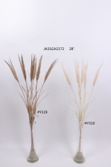 2021XAMS-JA3104<br />
Col: