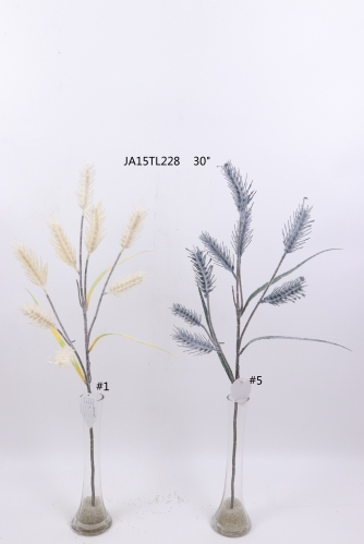 2021XAMS-JA1533