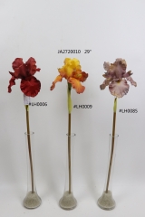 2021XAMS-JA2706<br />
Col: