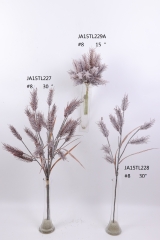 2021XAMS-JA1532<br />
Col: