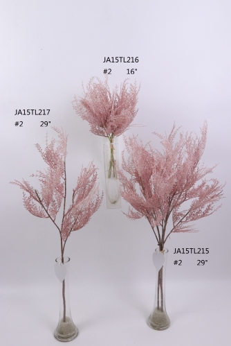 2021XAMS-JA1507