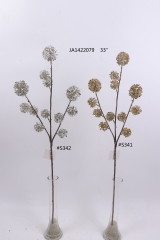 2021XAMS-JA1456<br />
Col:
