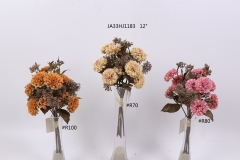 2021XAMS-JA3316<br />
Col: