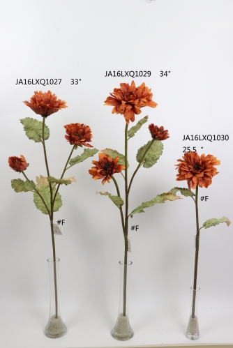 2021XAMS-JA1611