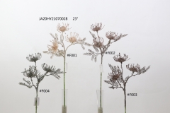 2021XAMS-JA2032<br />
Col: