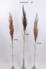 2021XAMS-JA3118<br />
Col: