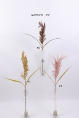 2021XAMS-JA1542<br />
Col: