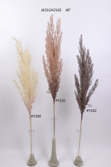 2021XAMS-JA3112<br />
Col:
