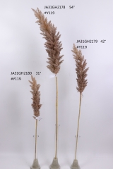 2021XAMS-JA3121<br />
Col: