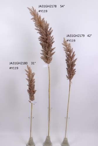2021XAMS-JA3121