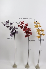 2021XAMS-JA2709<br />
Col: