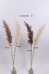 2021XAMS-JA3122<br />
Col: