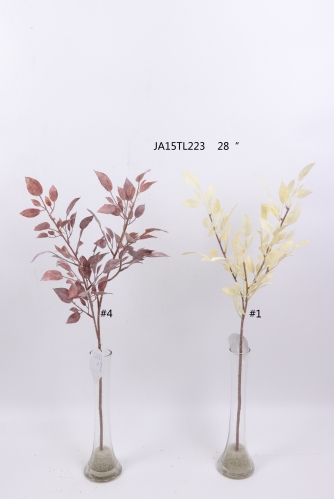 2021XAMS-JA1530