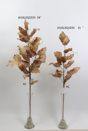 2021XAMS-JA1605