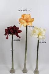 2021XAMS-JA2704<br />
Col: