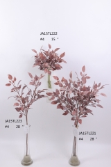 2021XAMS-JA1531<br />
Col: