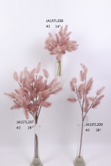 2021XAMS-JA1523<br />
Col:
