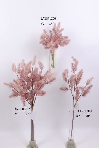 2021XAMS-JA1523