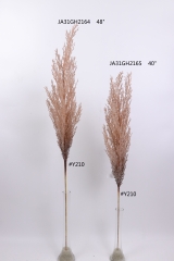2021XAMS-JA3113<br />
Col: