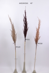 2021XAMS-JA3115<br />
Col: