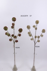 2021XAMS-JA1455<br />
Col: