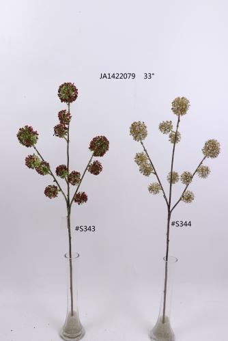 2021XAMS-JA1455