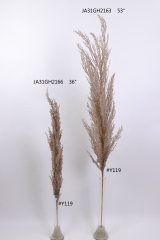 2021XAMS-JA3109<br />
Col: