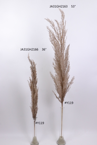 2021XAMS-JA3109