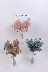 2021XAMS-JA1516<br />
Col: