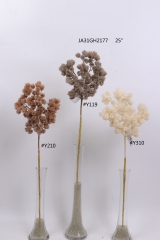 2021XAMS-JA3106<br />
Col: