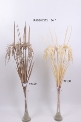 2021XAMS-JA3101<br />
Col: