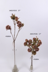 2021XAMS-JA61-23<br />
Col: