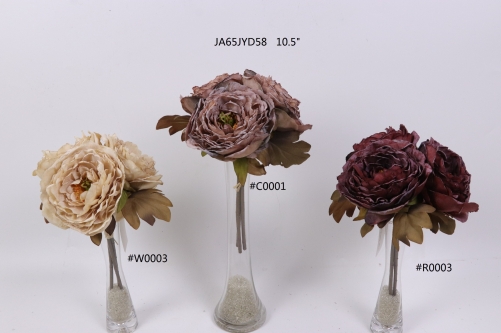 2021XAMS-JA61-30