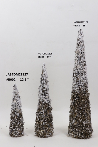 2021XAMS-JA3707
