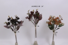 2021XAMS-JA3429<br />
Col: