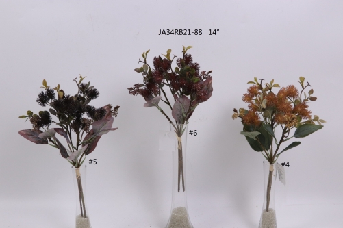 2021XAMS-JA3429