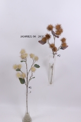 2021XAMS-JA3448<br />
Col: