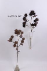 2021XAMS-JA3449<br />
Col: