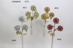 2021XAMS-JA60-02<br />
Col: