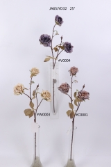 2021XAMS-JA61-11<br />
Col: